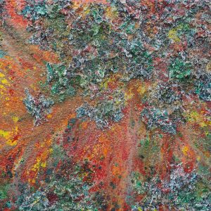 "The Earth IX" - Mixed Media, Oil on Canvas, 100x150 cm. 2017