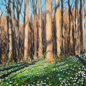 „Buschwindröschen im Sonienwald” – Acryl auf Leinwand, 55x46 cm, 2023