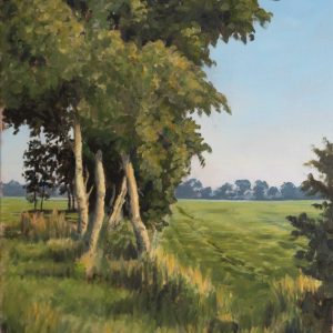„Birken in der Morgensonne” – Öl auf Leinwand, 50x60 cm, 2020