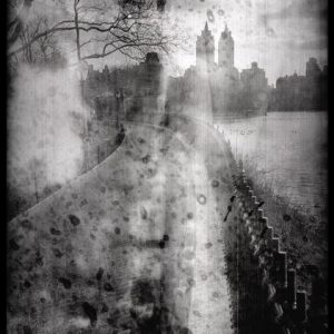 Bleached - Towers, 2014  90 x 60”   $55k Framed Print only $45k edition of 3 60 x 40”  $30k Framed - Print only $24K -  edition 5  40 x 30”    $15k Framed -  Print only $12k - edition 12 24 x 20" $7,500 Framed - Print only $5k - edition of 25  - 1 Sold