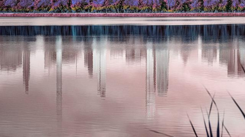 Central Park - The Zeckendorf Project 2022 Van Go - Sun Flowers  60 x 90”   $55k Framed Print only $45k edition of 3 40 x 60” $30k Framed - Print only $24K -  edition 5 Sold 1  30 x 40”    $15k Framed -  Print only $12k - edition 12 Sold 1 20 x 24" $7,500 Framed - Print only $5k - edition of 25