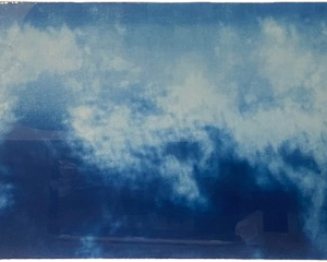 Untitled - 2021, Cyanotype framed 21 0,5” x 37 0,5”, oil on canvas