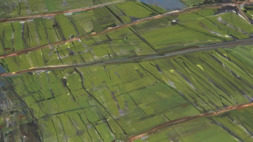 Fields, Vietnam, 2009, oil on  linen,	20 x	28 inches, (framed 20 ¾	x 28	½ x 1 inches)