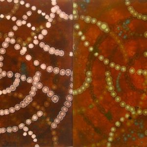 “PD IV No 5 (Touch)”, oil on canvas over wood panel, 40” x 80” x 2”, 2017