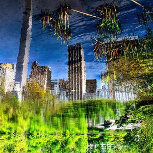 “Grass Upside Down” - photography on di bond, 80x120 cm/31 x 47 inches, 2024
