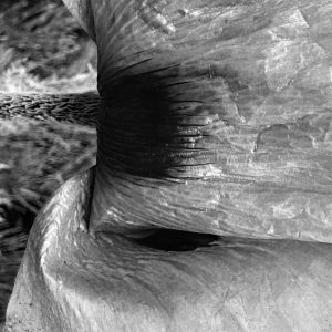 “Matter” - Photograph, archival pigment print on archival Hahne Muhle paper, 55 x34 cm, Edition 1/10, 2025